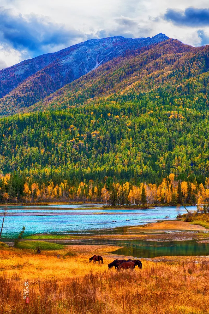 新疆之韵,探索独特文化与风情