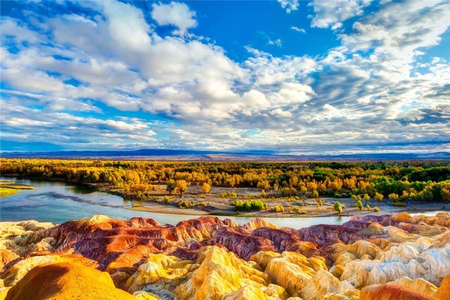 新疆，多元文化交融下的民族和谐共生示范区