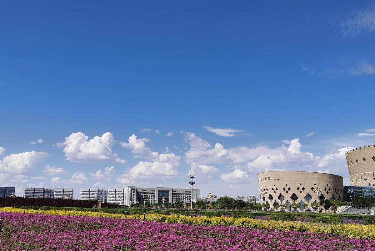 鄂尔多斯发展深度解析与个人视角观察